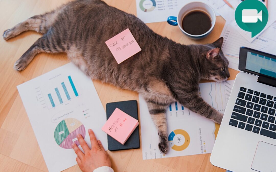 SMART WORKING: LE MIGLIORI APP