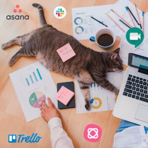 app per lo smart working